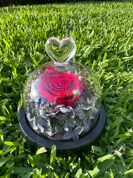 Forever Lasting Small Rose Dome